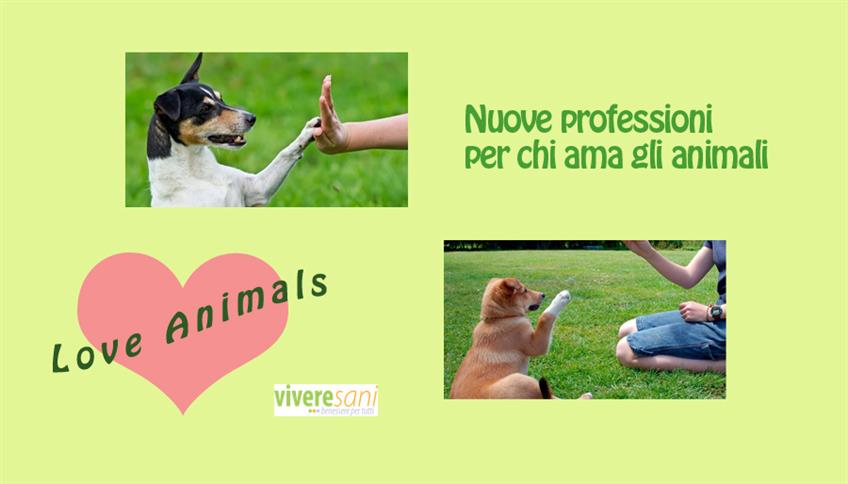 Educatore e Istruttore cinofilo Educatore e Istruttore cinofilo